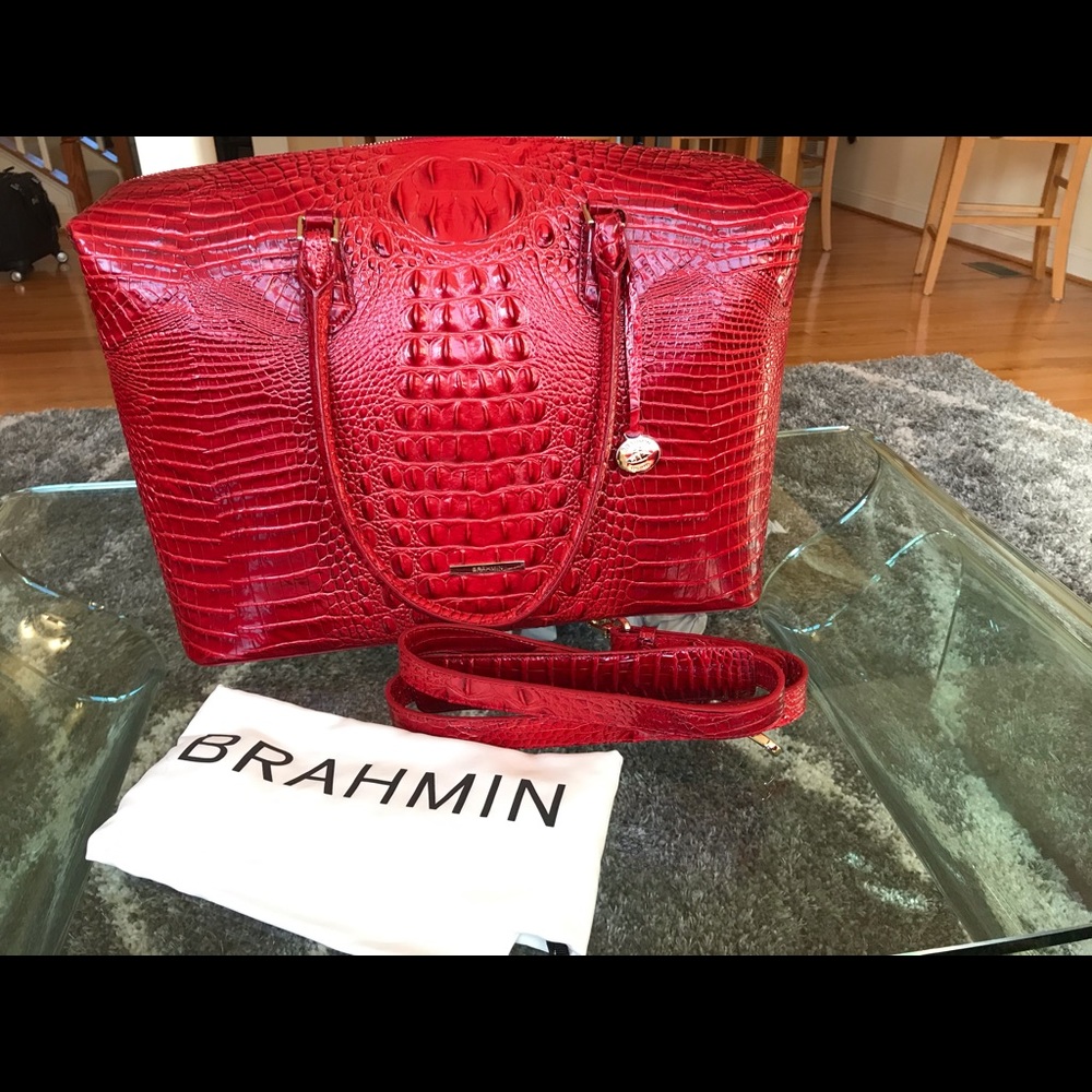 Beautiful Brahmin Bag